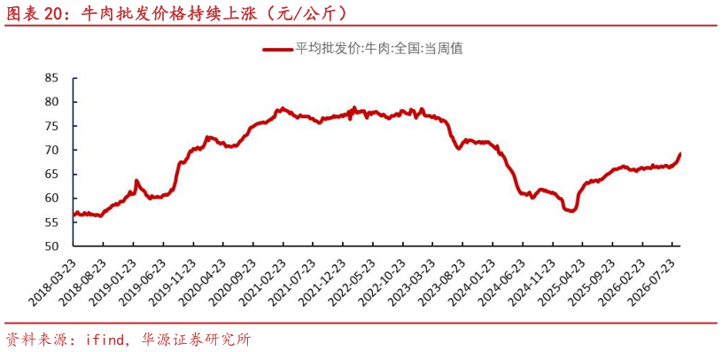 想关注一下牛肉批发价格持续上涨（元公斤）