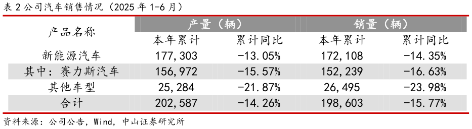 如何了解公司汽车销售情况（2025 年 1-6 月）