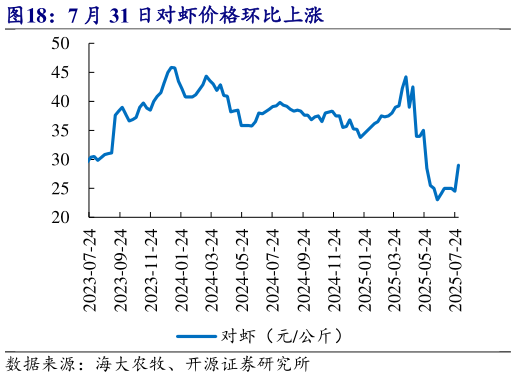 如何看待7 月 31 日对虾价格环比上涨?