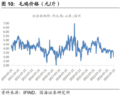怎样理解毛鸡价格（元斤）?