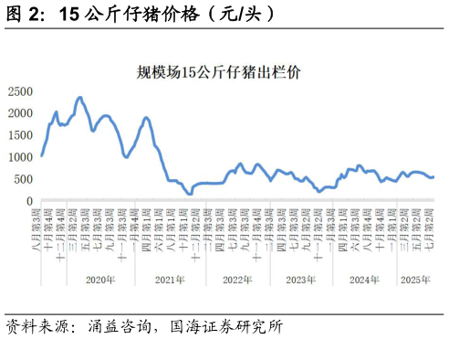 如何了解15 公斤仔猪价格（元头）?