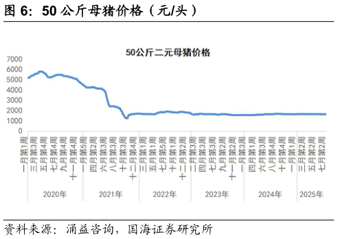 谁能回答50 公斤母猪价格（元头）?