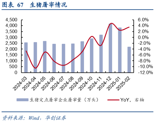 一起讨论下生猪屠宰情况