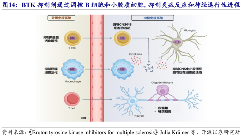 咨询大家BTK 抑制剂通过调控 B 细胞和小胶质细胞，抑制炎症反应和神经退行性进程
