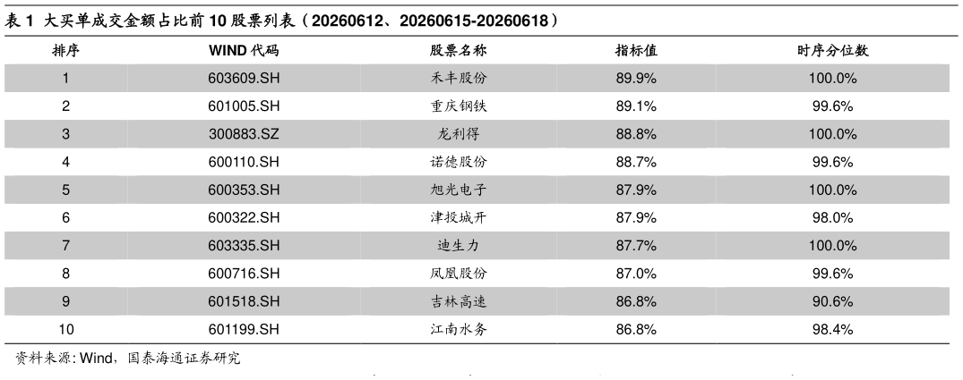 怎样理解大买单成交金额占比前 10 股票列表（20260612、20260615-20260618）