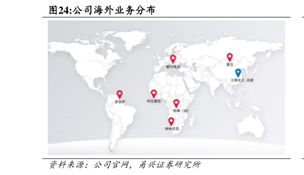 我想了解一下公司海外业务分布
