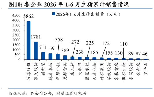 如何看待各企业 2026 年 1-6 月生猪累计销售情况