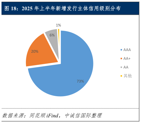 怎样理解2025 年上半年新增发行主体信用级别分布