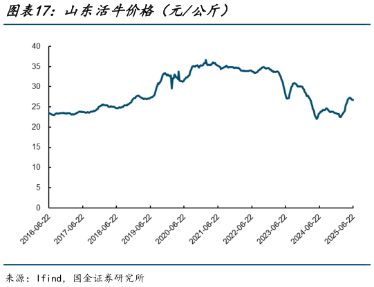 如何了解山东活牛价格（元公斤）