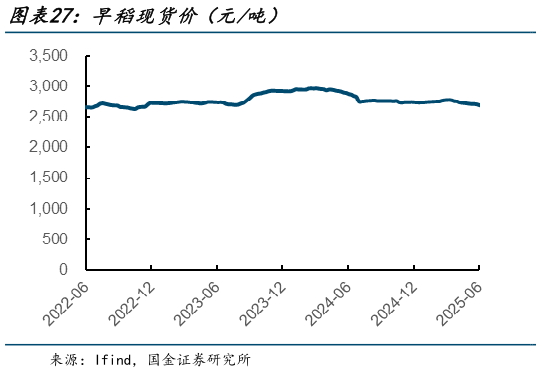 如何才能早稻现货价（元吨）