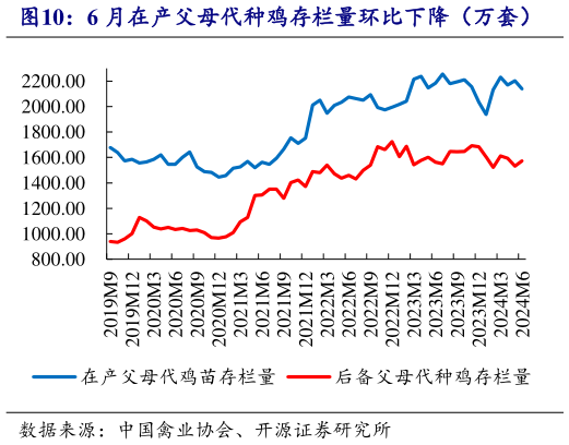 如何看待6 月在产父母代种鸡存栏量环比下降(万套)?