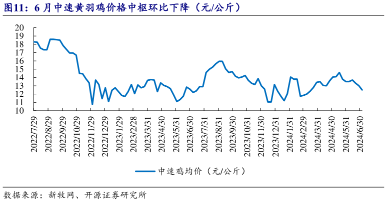 如何了解6 月中速黄羽鸡价格中枢环比下降(元公斤)?