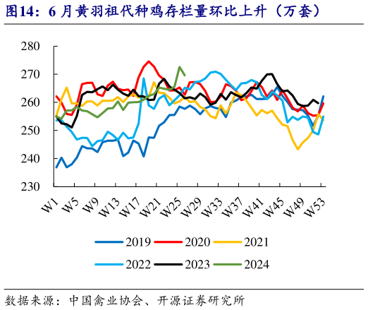 一起讨论下6 月黄羽祖代种鸡存栏量环比上升(万套)?