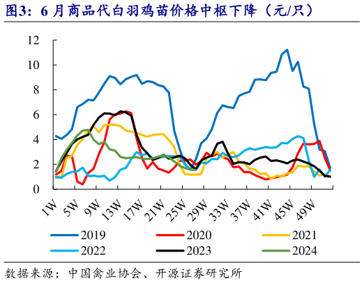 谁知道6 月商品代白羽鸡苗价格中枢下降(元只)?