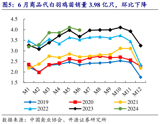 谁能回答6 月商品代白羽鸡苗销量 3.98 亿只,环比下降?