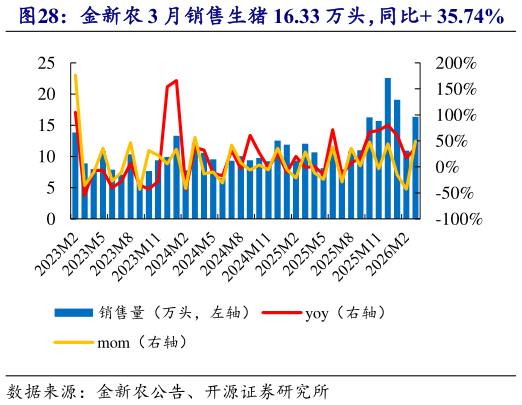 如何了解金新农 3 月销售生猪 16.33 万头，同比 35.74%?