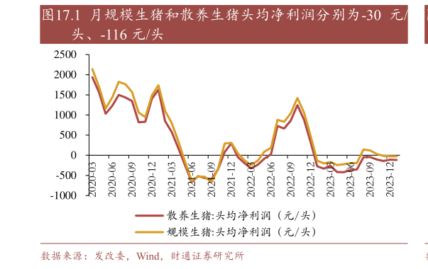一起讨论下.1 月规模生猪和散养生猪头均净利润分别为-30 元?
