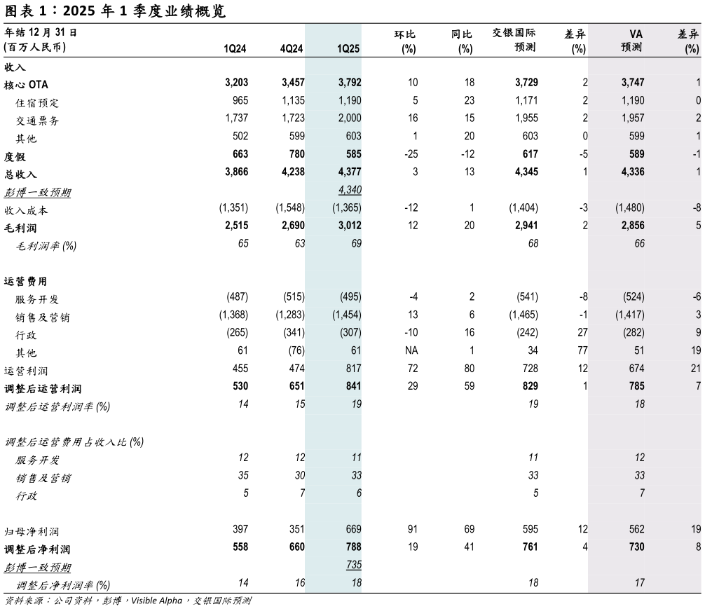 如何解释2025 年 1 季度业绩概览