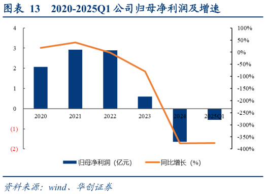 如何看待2020-2025Q1 公司归母净利润及增速