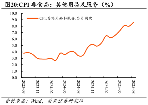 如何了解CPI 非食品：其他用品及服务（%）