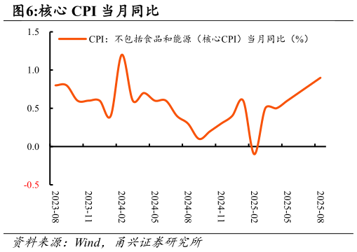 我想了解一下核心 CPI 当月同比