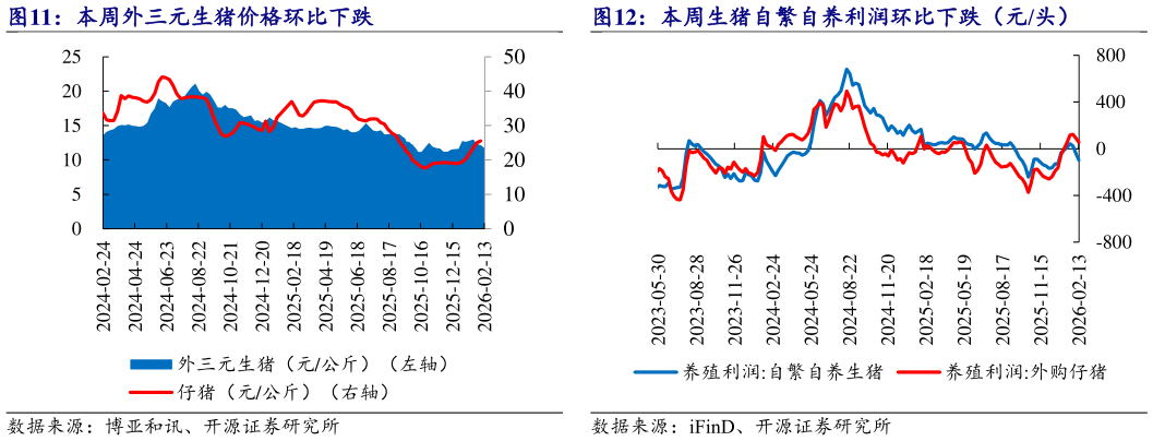 一起讨论下本周外三元生猪价格环比下跌 本周生猪自繁自养利润环比下跌（元头）