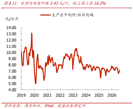 如何解释本周肉鸡苗价格3.43元只，较上周上涨16.3%