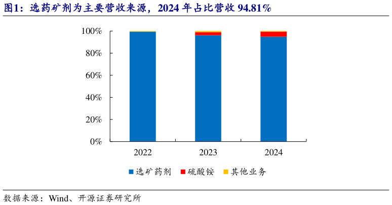 咨询大家选药矿剂为主要营收来源，2024 年占比营收 94.81%