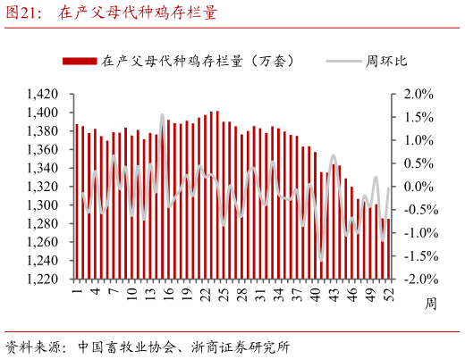 咨询下各位在产父母代种鸡存栏量