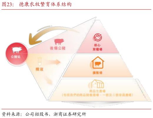 如何解释德康农牧繁育体系结构