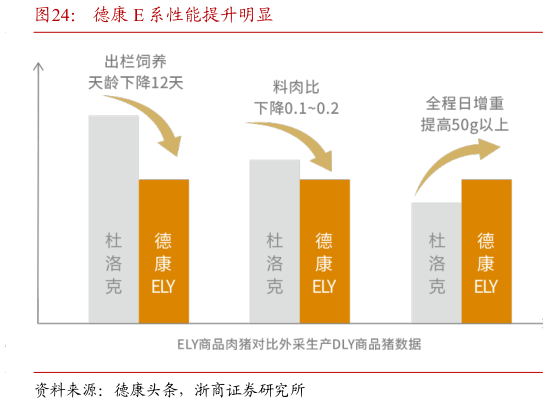 我想了解一下德康 E 系性能提升明显