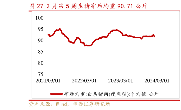 如何解释2 月第 5 周生猪宰后均重 90.71 公斤?