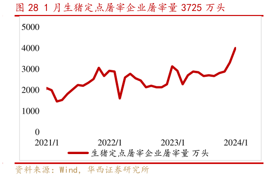 我想了解一下1 月生猪定点屠宰企业屠宰量 3725 万头?