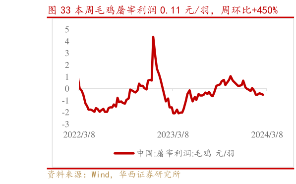 如何了解本周毛鸡屠宰利润 0.11 元羽,周环比450%?