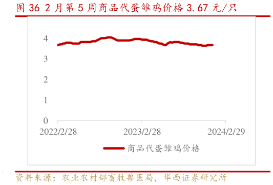 我想了解一下2 月第 5 周商品代蛋雏鸡价格 3.67 元只?