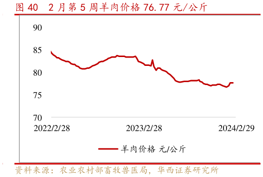 想关注一下2 月第 5 周羊肉价格 76.77 元公斤?