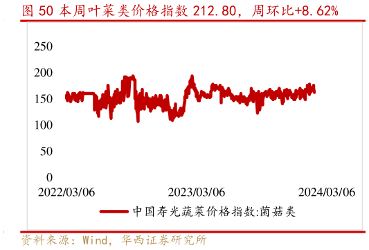 怎样理解本周叶菜类价格指数 212.80,周环比8.62%?