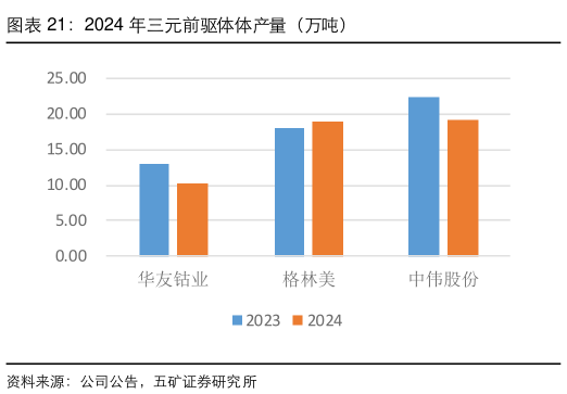 如何看待2024 年三元前驱体体产量（万吨）
