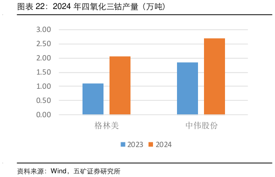 如何看待2024 年四氧化三钴产量（万吨）