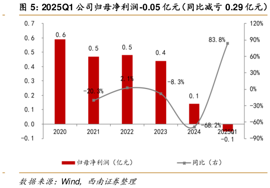 咨询大家2025Q1 公司归母净利润-0.05 亿元（同比减亏 0.29 亿元）