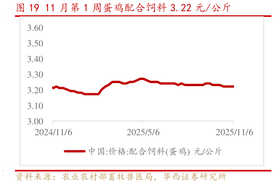 如何了解11 月第 1 周蛋鸡配合饲料 3.22 元公斤