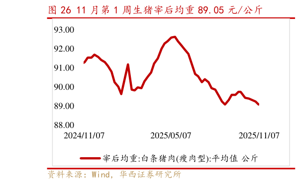 想关注一下11 月第 1 周生猪宰后均重 89.05 元公斤