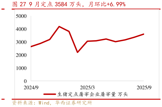 谁能回答9 月定点 3584 万头，月环比6.99%
