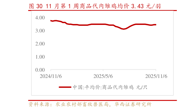 如何了解11 月第 1 周商品代肉雏鸡均价 3.43 元羽