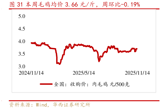 如何解释本周毛鸡均价 3.66 元斤，周环比-0.19%