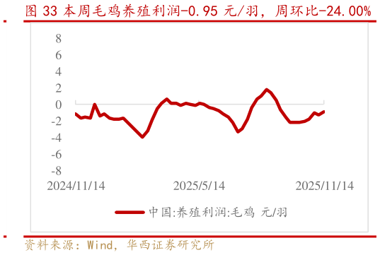 如何了解本周毛鸡养殖利润-0.95 元羽，周环比-24.00%
