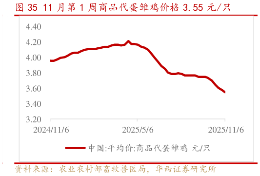 如何才能11 月第 1 周商品代蛋雏鸡价格 3.55 元只