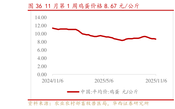 如何了解11 月第 1 周鸡蛋价格 8.67 元公斤