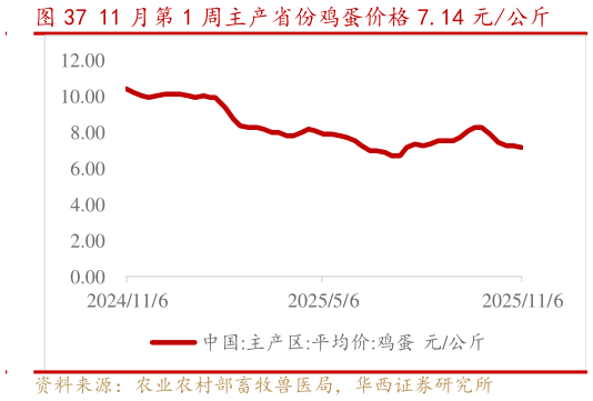 如何才能11 月第 1 周主产省份鸡蛋价格 7.14 元公斤