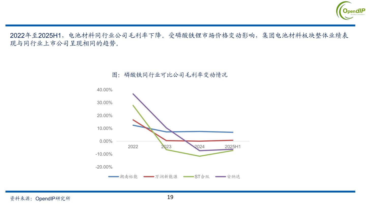 咨询大家2022年至2025H1，电池材料同行业公司毛利率下降。受磷酸铁锂市场价格变动影响，集团电池材料板块整体业绩表